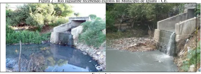 Figura 2 – Rio Jaguaribe recebendo esgotos no Município de Iguatu – CE. 