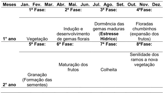 Tabela 1. Fases fenológicas normal do cafeeiro, cultivado no país.    