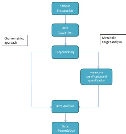 Figure 1: General workflow of a metabolomics experiment