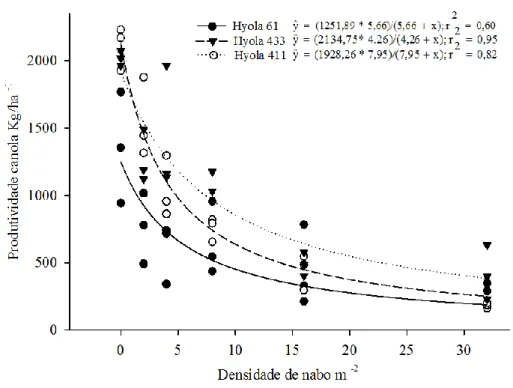 Figura 6 - Produtividade (kg ha -1 ) das cultivares de canola Hyola 61, Hyola 411 e Hyola 433 em função da densidade  populacional de plantas de nabo