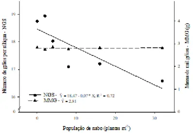 Figura  2  –  Número  de  grãos  por  silíqua  (GPS),  massa  de  mil  grãos  (MMG)  em  função  de  diferentes  densidades  populacionais de nabo