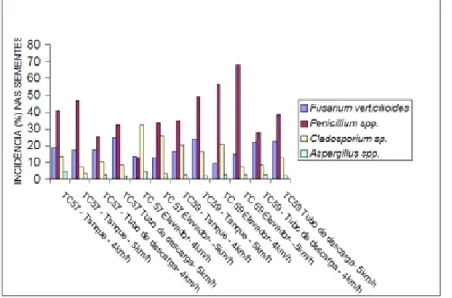 Figura 1 - Incidência (%) de fungos em sementes de milho cultivar Pioneer 3021, obtidas no tanque graneleiro, saída  do tubo de descarga e elevador para dois modelos de colhedora New Holand, operando a 4 km.h -1  e 5 km.h -1 