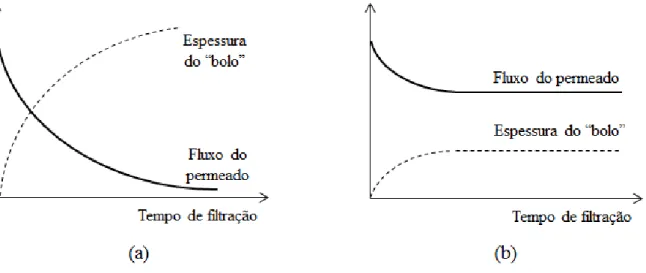 Figura 6 – Perfis de fluxo de permeado e espessura da camada depositada (“bolo”) para a  filtração longitudinal (a) e filtração tangencial (b) 