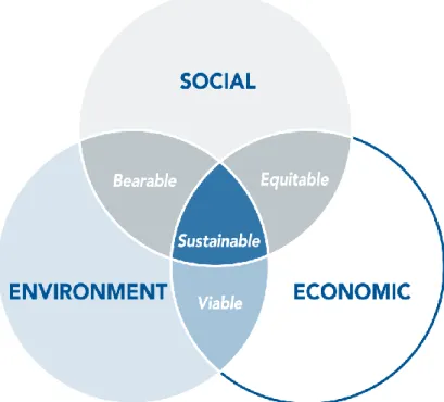 Figura 2.1 Desenvolvimento Sustentável (adaptado de D'Angelo et al., 2008) 