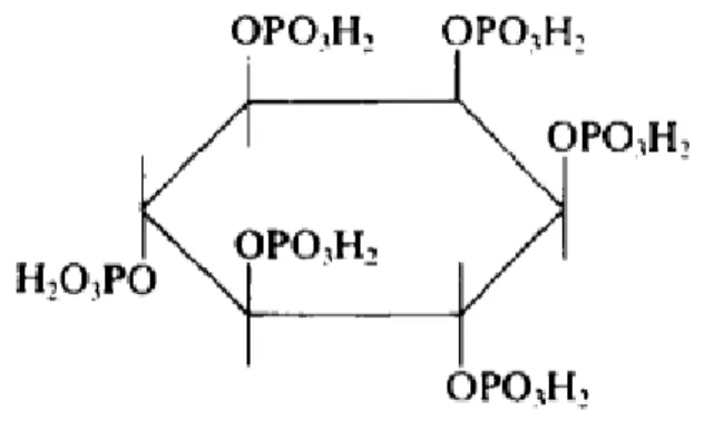 Figura 1: Estrutura molecular do fitato.  