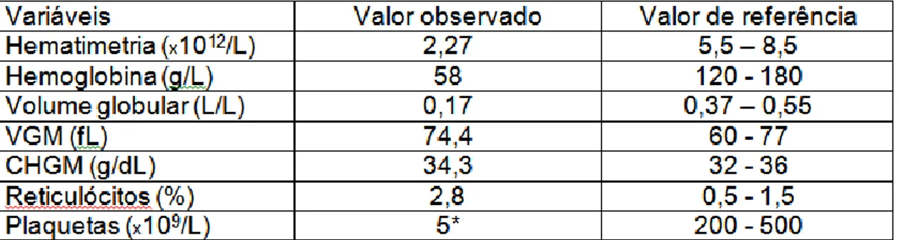 Tabela 1: Resultado do eritrograma do cão com anemia hemolítica imunomediada 