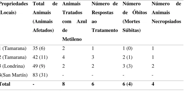 Tabela  1:  Apresentação  dos  dados  dos  animais  afetados  dentro  do  rebanho,  tratados,  responsivos  ao  tratamento,  número  de  mortes  após  tratamento  ou  de  mortes súbitas, e o número de bovinos necropsiados