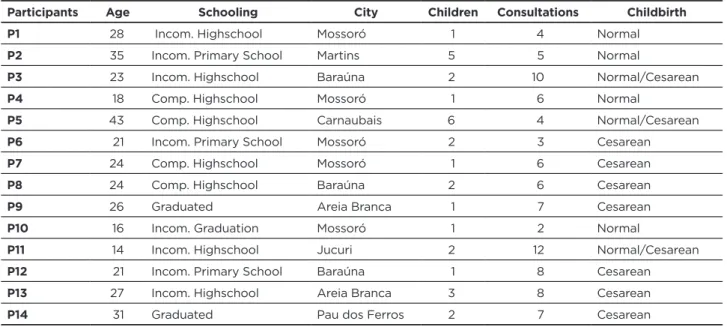 Table 1 - Characterization of the Participants. Mossoró/RN, 2015