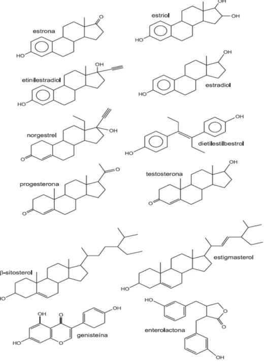 Figura  2  -  Estruturas  químicas  dos  principais  esteroides  sexuais  e  fitoesteroides
