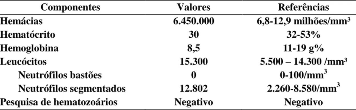 Tabela  1:  Resultados  do  hemograma  e  pesquisa  de  hematozoários  em  um  equino  com leptospirose 