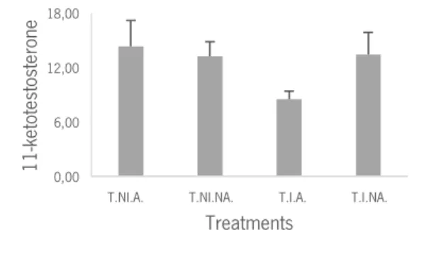 Figure 10: Mean values of the variation of 11-KT in treatments T.NI.A., T.NI.NA., T.I.A., T.I.NA.; T.NI.A