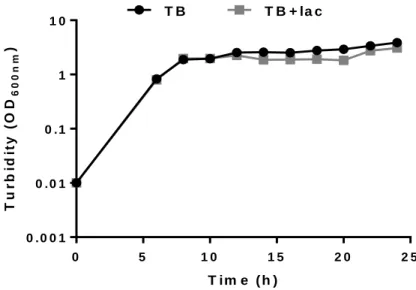 Figure  4.2-  Ce ll  growth  of  E.coli  BL21(DE3)  transformed  with  pCM 13(S 5 E 9 )  in  TB  mediu m  without  (TB) and with lactose (TB+lac) at different time periods for 24 h at 37 ºC, 1:4 volu me ratio and 200 rp m