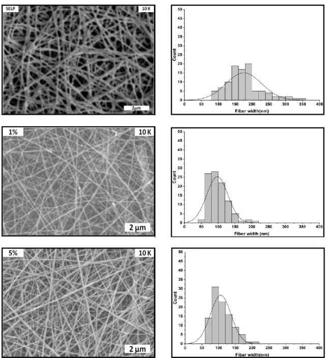 Figure 4.25- Representative SEM  micrographs and histograms of fibre size d istribution for methanol- methanol-treated SELP/Ag fibre  mats with 0 wt% (SELP), 1 wt% (1%) and 5 wt% (5%)