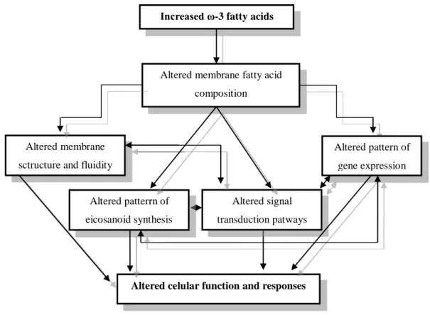 Figure 3. General scheme of the interacting  mechanisms by which the ω-3 PUFAs might influence  cell function [10]