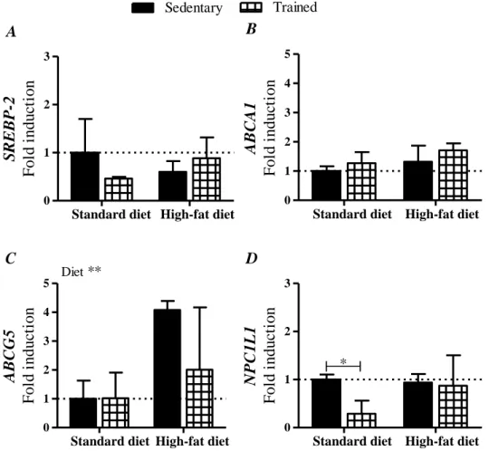 Figure 2.4 – Analysis of SREBP-2 (A), ABCA1 (B), ABCG5 (C) and NPC1L1 (D) gene expres- expres-sion using qRT-PCR technology, relatively to sedentary lifestyle vs adheexpres-sion to endurance training, in  both diets