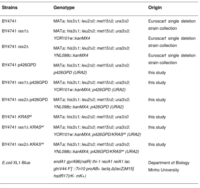 Table 1. The S. cerevisiae BY4741 and E.coli strains used in present work. 