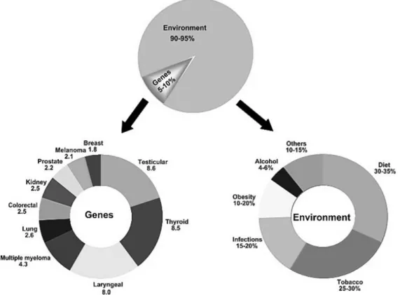 Figure 1.3. The role of genes and environment in the development of cancer (Adapted from (Anand et al