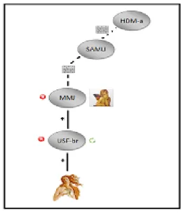 Figure 03:  Graphical representation of the care trajectory of  Mater C.