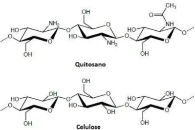 Figura 15 - Estrutura química do quitosano e da celulose. Adaptado de (Alvarenga, 2011).