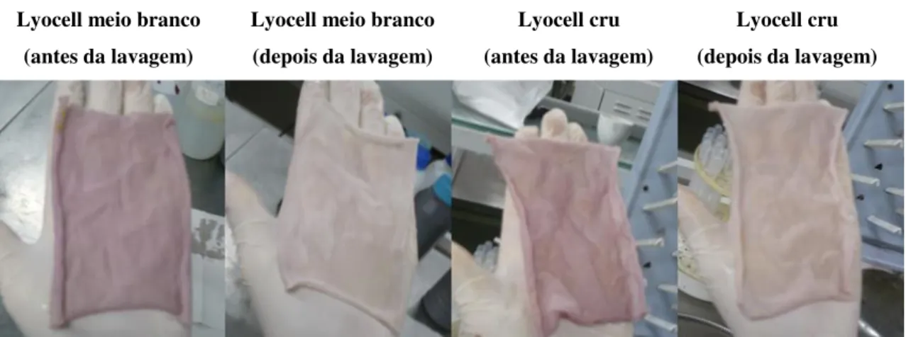 Tabela 17 - Efeito da lavagem com água corrente na permanência da cor nos substratos têxteis  Lyocell meio branco 