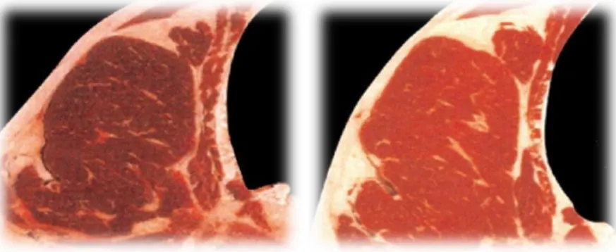 Figura 4 – Comparação da cor de carne de bovino do tipo DFD (lado esquerdo) e de carne de bovino cujo valor de pH se apresenta  dentro da normalidade (lado direito)