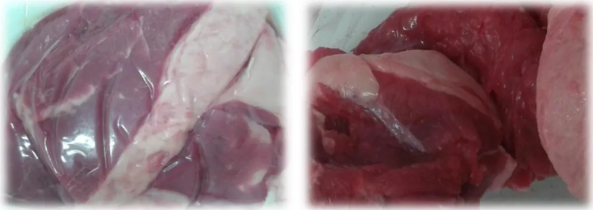 Figura 5 – Aspeto da carne de bovino embalada a vácuo (lado esquerdo), e aspeto que a carne de bovino adquire quando é retirada  da embalagem a vácuo (lado direito).