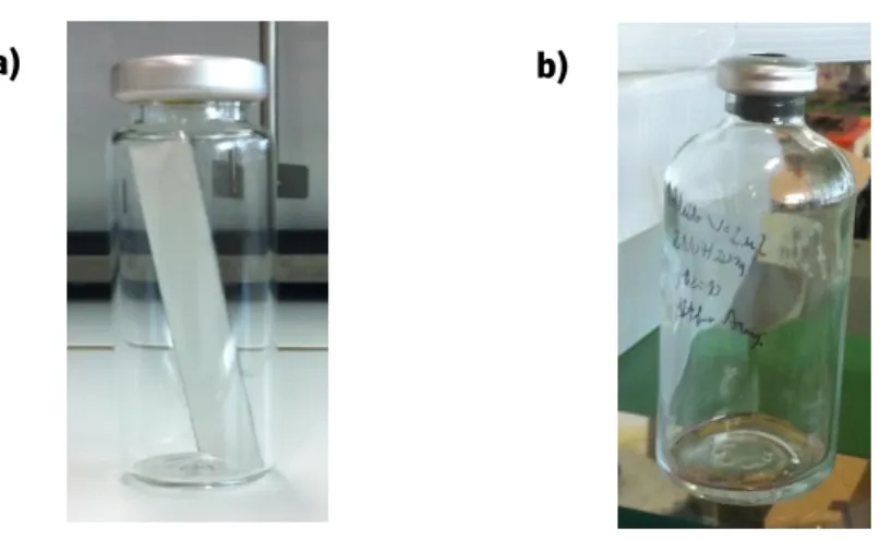 Figura 12: Método adaptado de Ensaio Interno em a)  vial  de 22 mL e b)  serum bottle  de 70 mL.