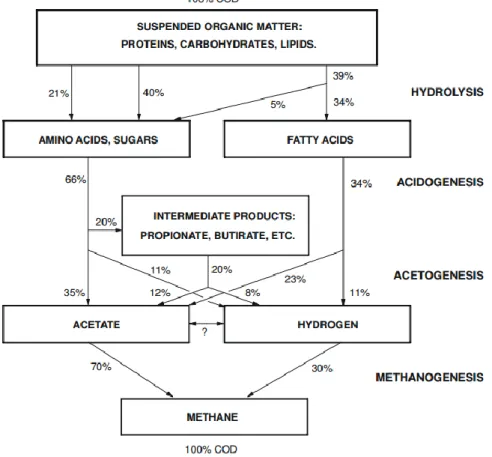 Ilustração 1 – Representação esquemática do processo de degradação anaeróbia de lamas ativadas em excesso (e outros  materiais orgânicos) (Haandel &amp; Lubbe, 2007)