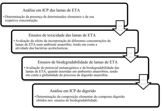 Ilustração 2 – Esquema sequencial das etapas do projeto experimentar para a avaliação da incorporação de lamas de ETA num sistema  de digestão anaeróbio de lamas de ETAR