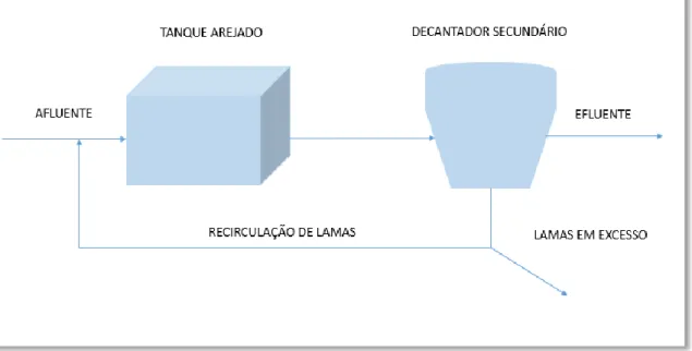 Figura 2. Representação esquemática de um sistema de lamas ativadas. 
