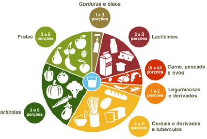 Figura 1.1 - Roda dos alimentos atual. 