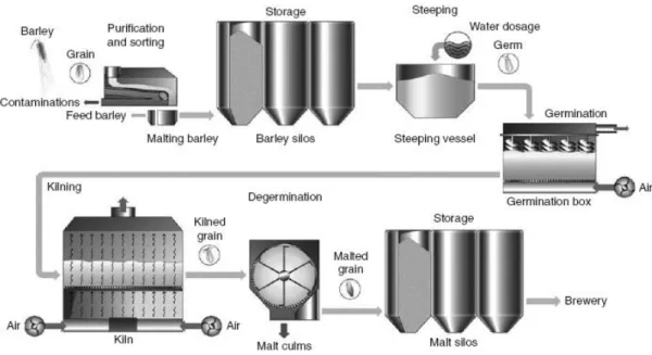 Fig. 1 - Schematics of the malting process. Source: Wunderlich and Back (2009). 
