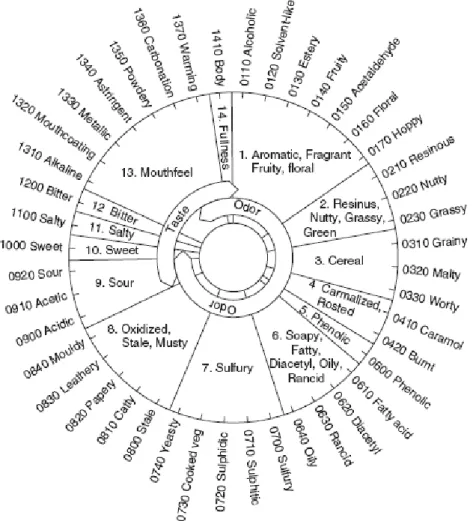 Fig. 10- The Meilgaard beer flavor wheel. Source: Hernández and Milla (2009). 