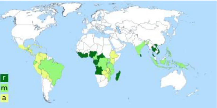 Figura 13 – Distribuição geográfica dos dois tipos de cultivo: Coffea Arabica e Coffea Canephora (r: café robusta; m: café robusta e  arabica; a: café arabica)  (25)