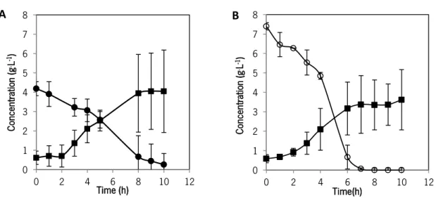 Figure 6 - Substrate consumption and end-product production in  L. lactis  (A) Glucose consumption () and lactic acid production  () and (B) lactose consumption () and lactic acid production () during of the fermentation process