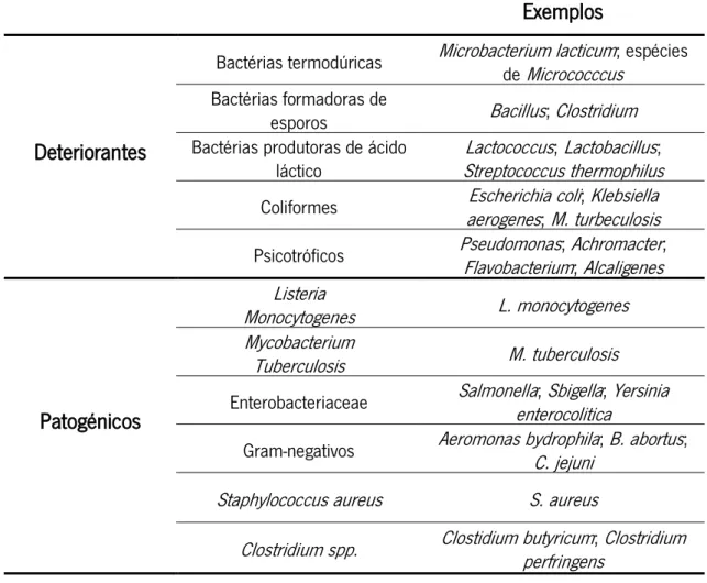 Tabela 1 - Principais microrganismos frequentes nos lacticínios (Niamsiri, 2009) 