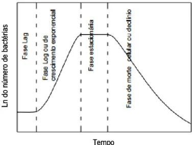 Figura 7 - Curva de crescimento bacteriano em sistema fechado (adaptado de Assis, 2007)