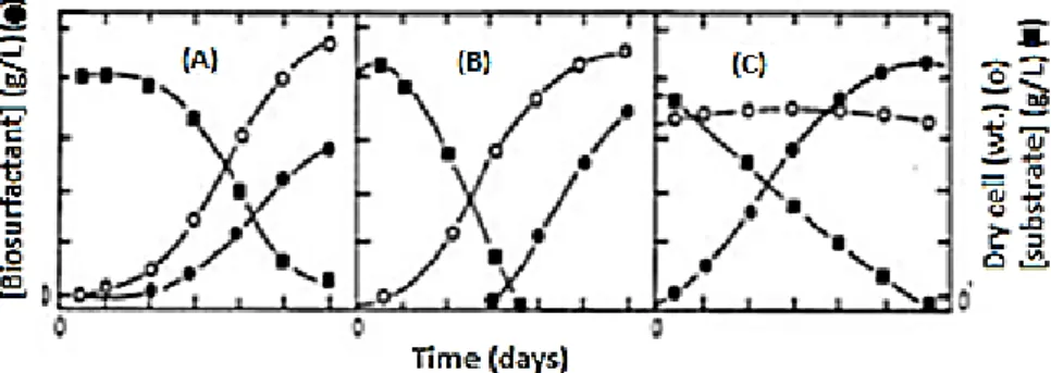 Figure 3 – Different types of fermentation kinetics for biosurfactants production: (A) Growth-associated  production (Acinetobacter calcoaceticus), (B) Production under growth-limiting (Pseudomonas spp.), (C) 