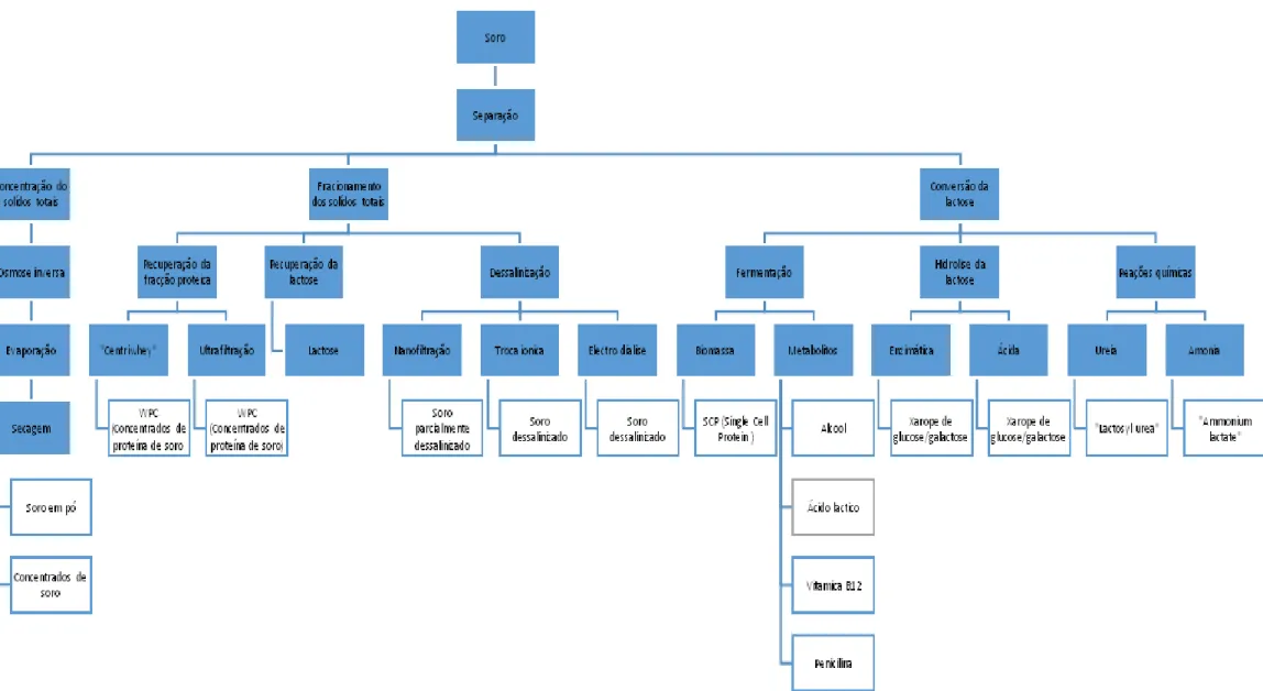 Figura 2:Diagrama dos processos de processamento do soro, adaptado de Bylund (2003). 