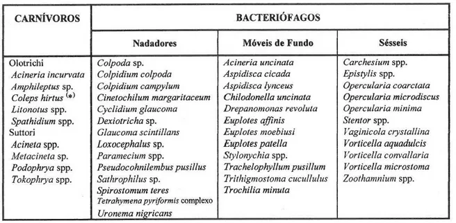 Tabela 3 - Lista dos protozoários mais frequentes nas lamas ativadas e respectivos grupos tróficos [11]