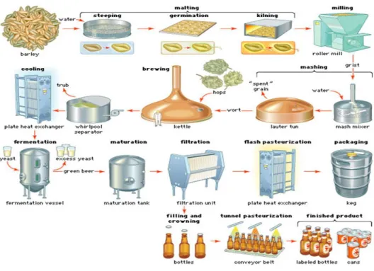 Figura 6 - Processo de produção de cerveja 