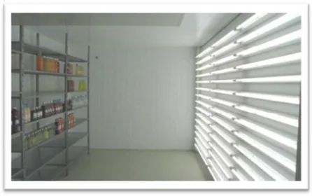 Figura 10 - Simulação das condições de luz dos supermercados com luz fluorescente 