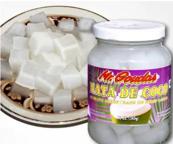 Figura 3 – Nata de Coco. 