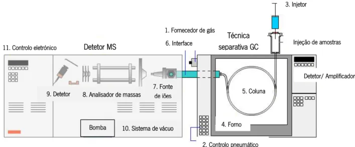 Figura 3- Ilustração de um equipamento de cromatografia gasosa acoplada com um espetrómetro  de massa (adaptado de LC GC’s Chromacademy, 2013)