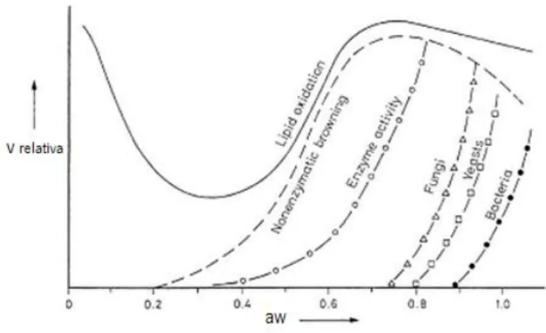 Figura 3 - Velocidade das reações de deterioração nos alimentos e crescimento de microrganismos em função da  aw (Belitz  et al ., 2009)