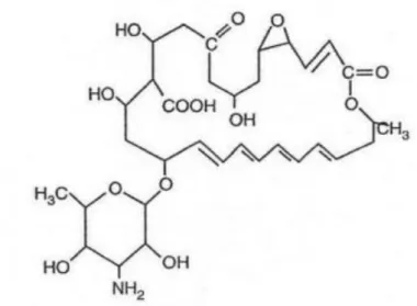Figura 5 - Estrutura química da natamicina. 