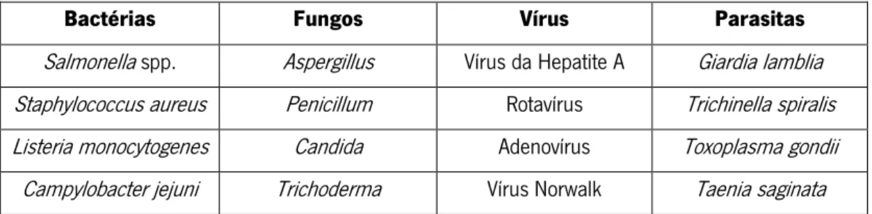 Tabela 1 –  Exemplos de perigos biológicos. (Adaptado de  Enformar, 2009; CAC/RCP, 1969 - Rev