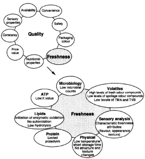 Figure 2.1. Relationship between quality and freshness. 