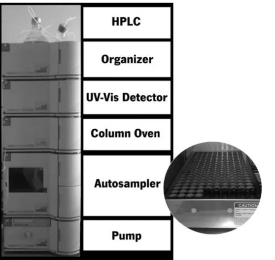 Figure 3.5. Organizational scheme of the HPLC equipment used. 