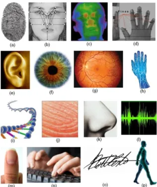 Figura  8  –  Biometrias  Físicas:  (a)  impressão  digital;  (b)  reconhecimento  facial;  (c)  termograma;  (d)  geometria  da  mão;  (e)  geometria da orelha; (f) reconhecimento da iris; (g) reconhecimento da retina; (h) padrão das veias; (i) ADN; (j) p